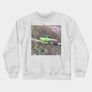 Grasshopper Crewneck Sweatshirt